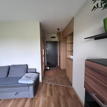 Kawalerka Z Widokiem Na Zielen * Varşova