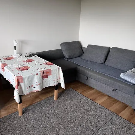 Kawalerka Z Widokiem Na Zielen Daire